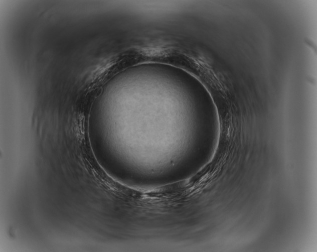 X0000097601301200802291233