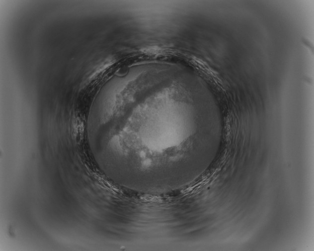 X0000097601302200802291233