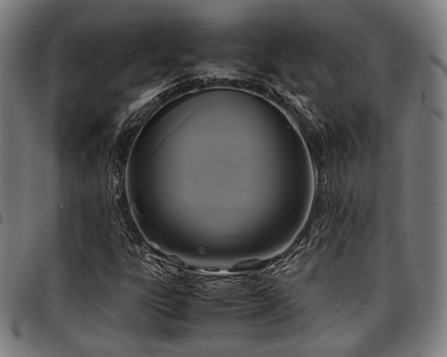 X0000097601303200802291233