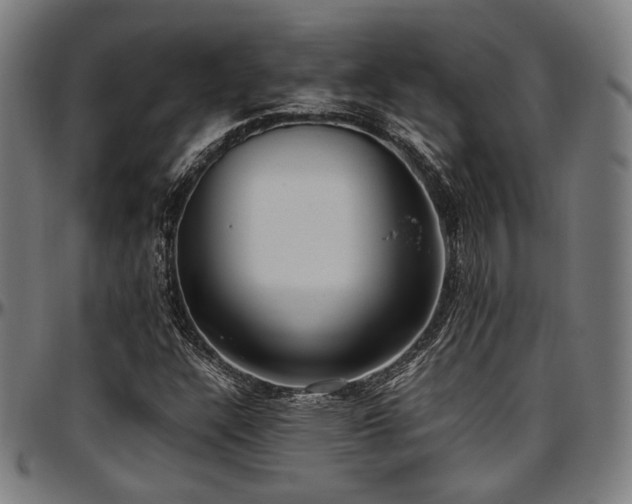 X0000097601304200802291233