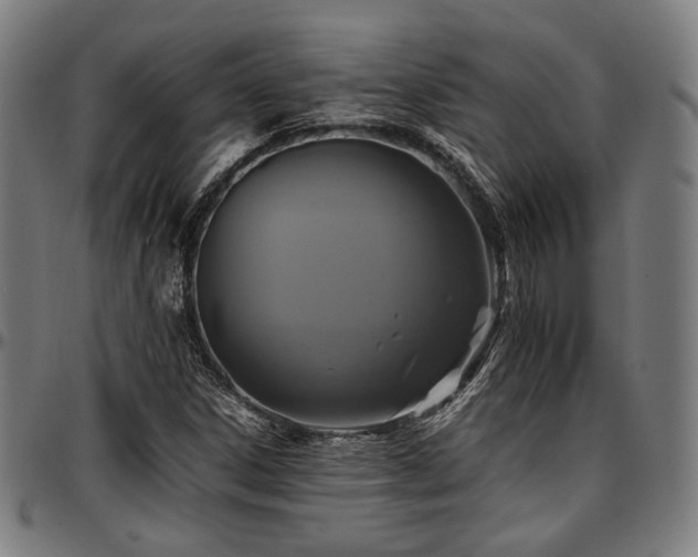 X0000097601306200802291233