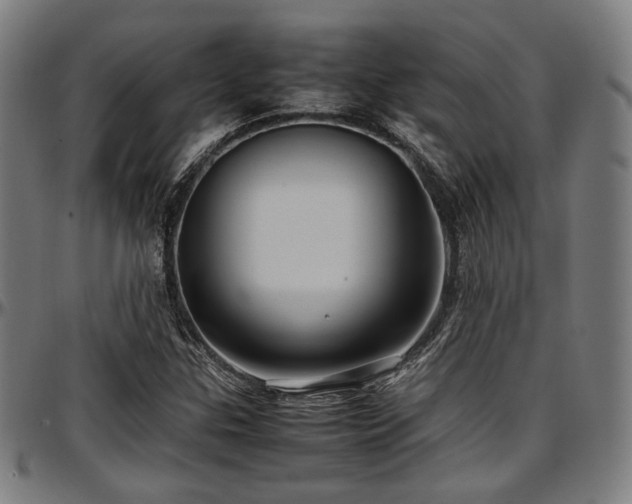 X0000097601307200802291233