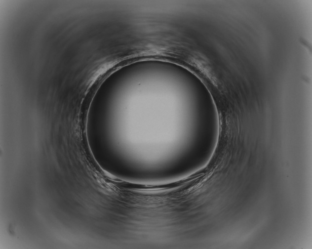 X0000097601308200802291233