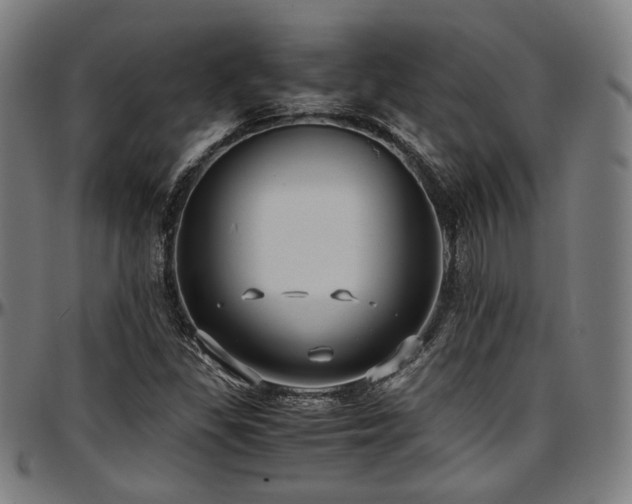 X0000097601309200802291233