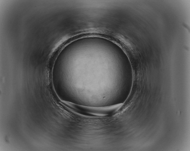 X0000097601310200802291233