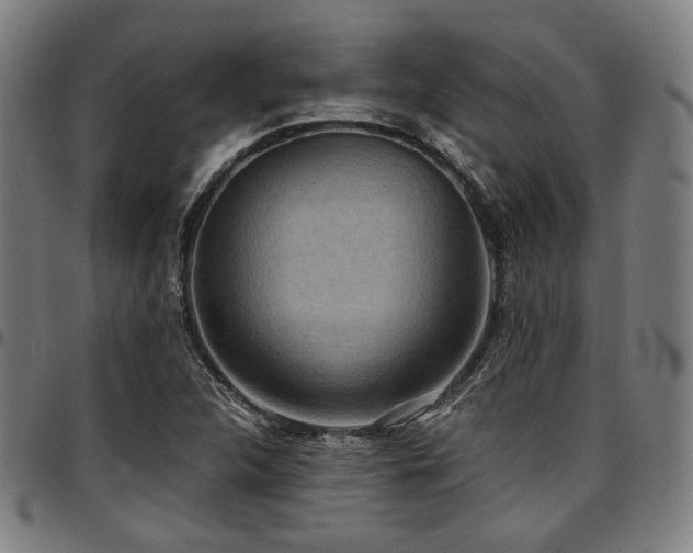 X0000097601312200802291234