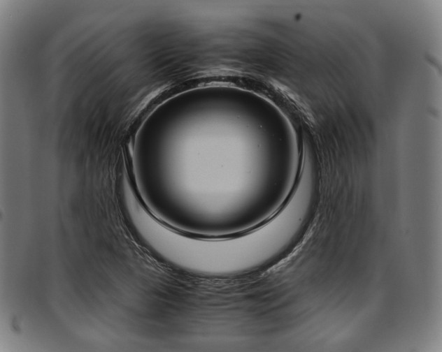 X0000097601313200802291234