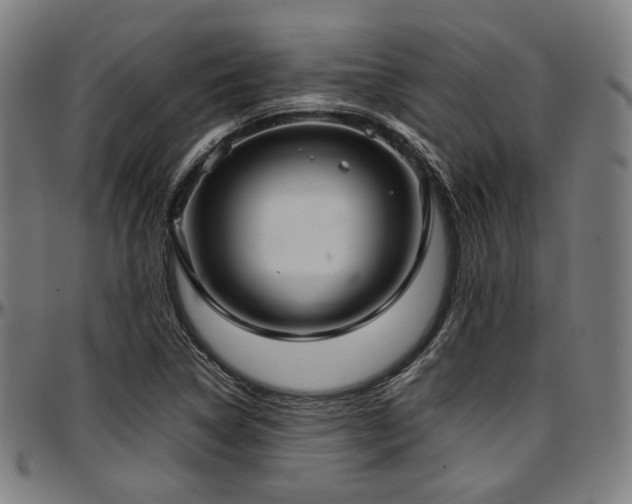 X0000097601314200802291234