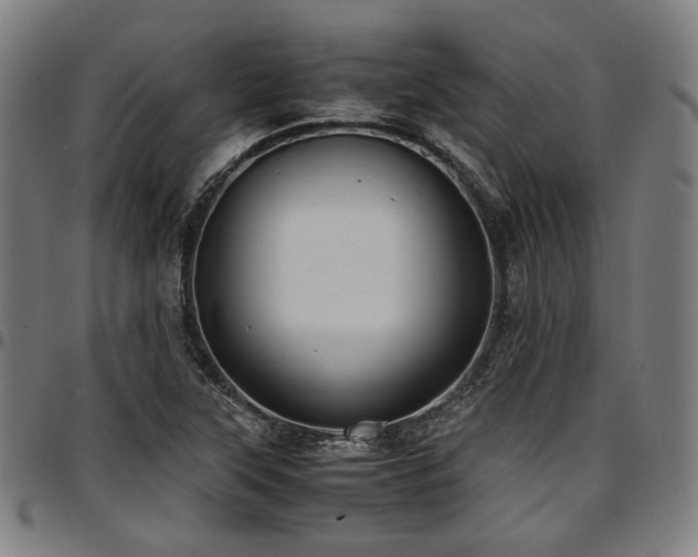 X0000097601315200802291234