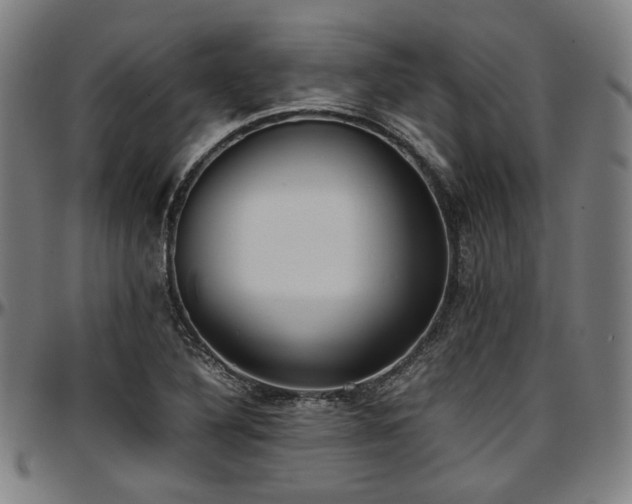 X0000097601316200802291234