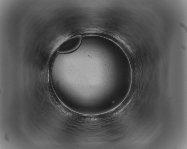 X0000097601317200802291234