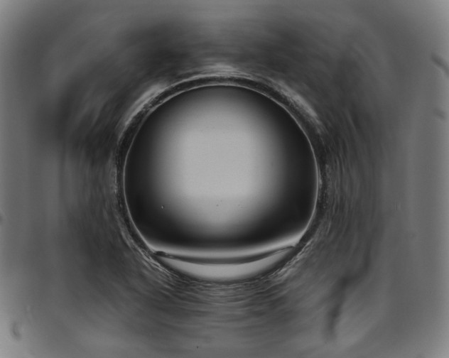 X0000097601318200802291234
