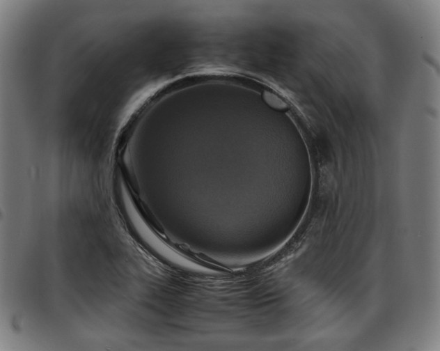 X0000097601319200802291234