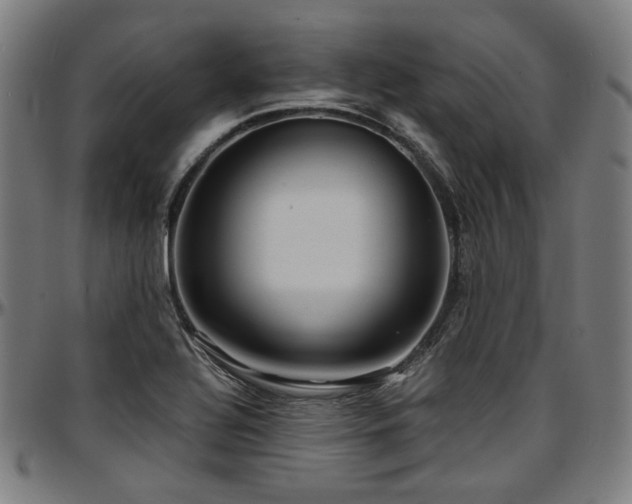 X0000097601320200802291234