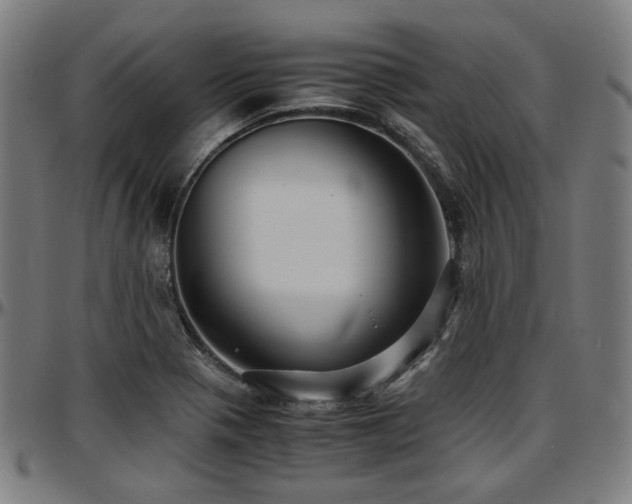 X0000097601321200802291234