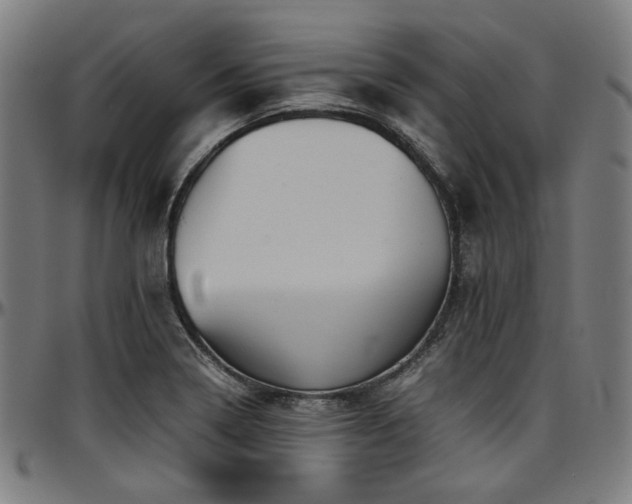 X0000097601322200802291234