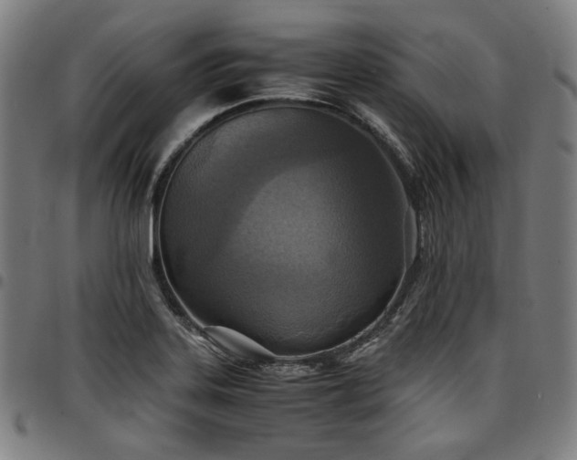 X0000097601323200802291234