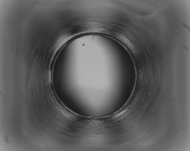 X0000097601324200802291234