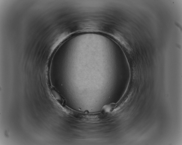 X0000097601325200802291234