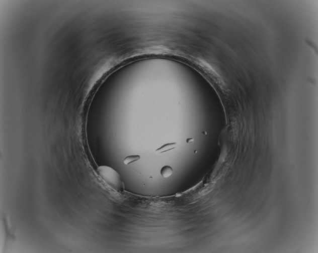 X0000097601326200802291234