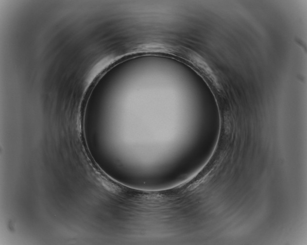 X0000097601328200802291234