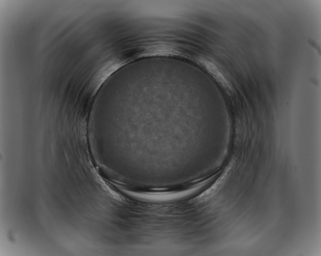 X0000097601329200802291234