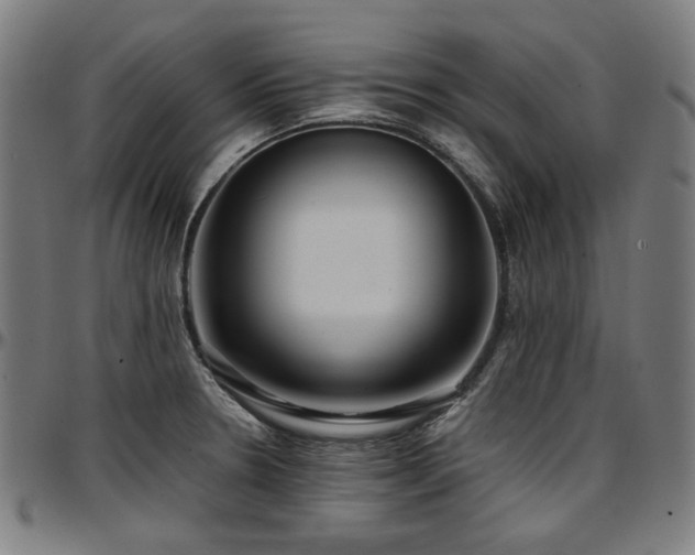 X0000097601330200802291234