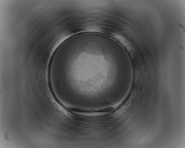 X0000097601331200802291234