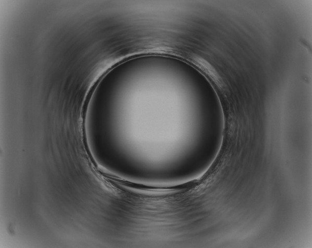 X0000097601332200802291234