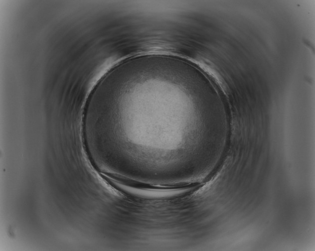 X0000097601333200802291234