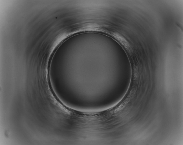 X0000097601334200802291234