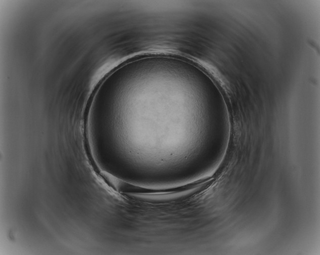 X0000097601335200802291234