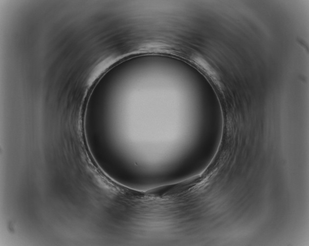 X0000097601336200802291234