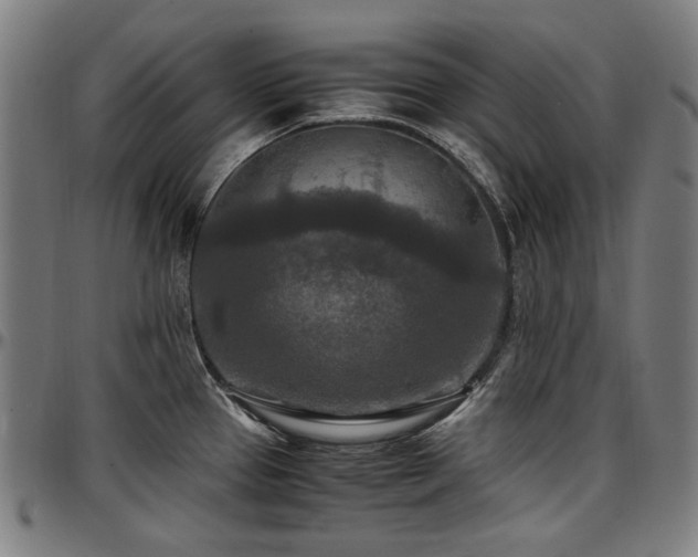 X0000097601337200802291234