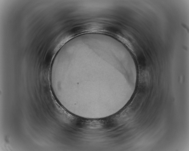 X0000097601338200802291234