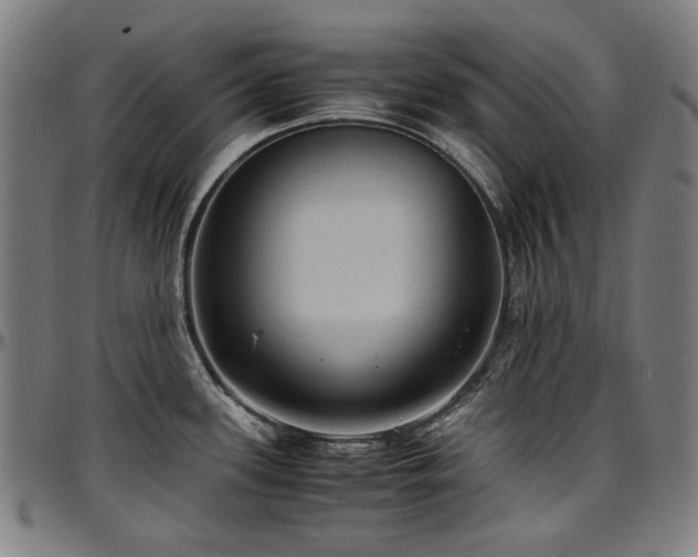 X0000097601339200802291234
