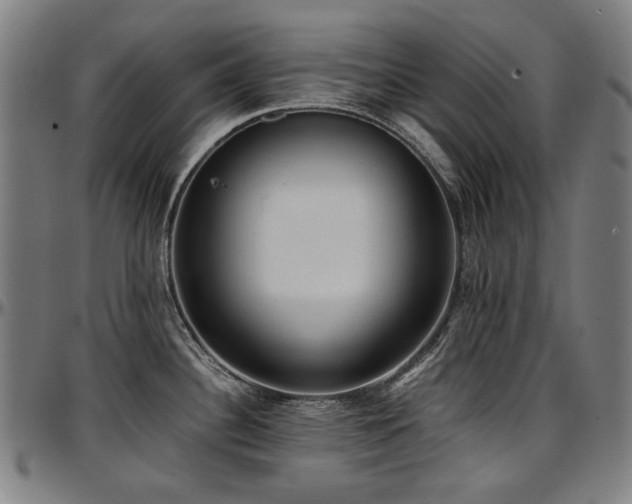 X0000097601340200802291234