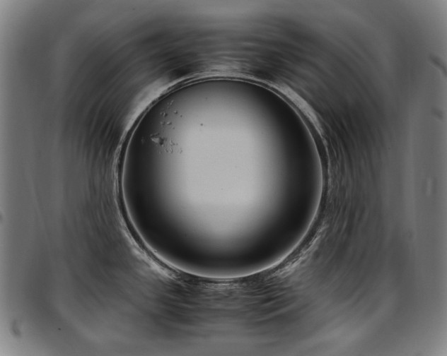 X0000097601341200802291234