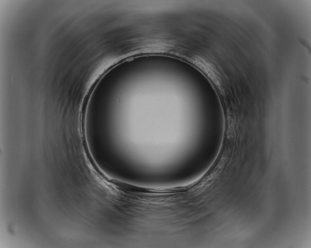 X0000097601342200802291234