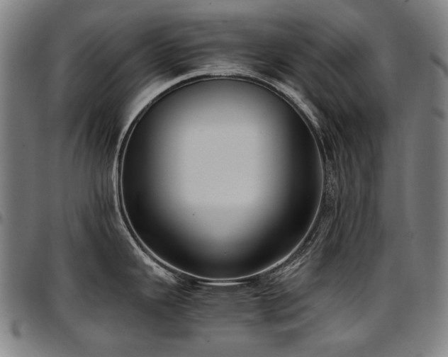 X0000097601343200802291234