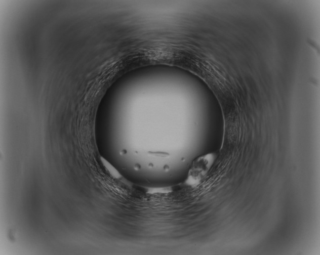 X0000097601345200802291233