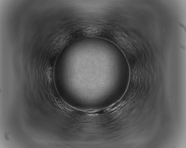 X0000097601346200802291233