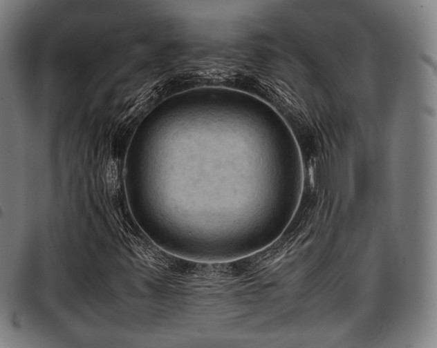 X0000097601347200802291233