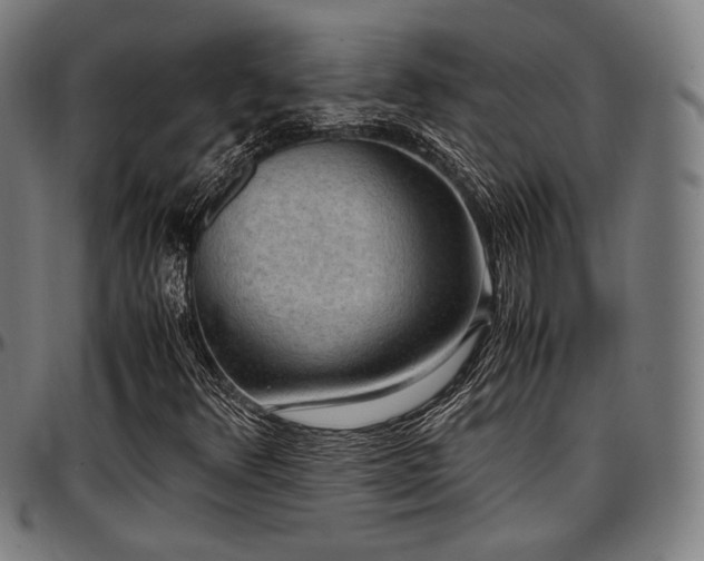 X0000097601348200802291233