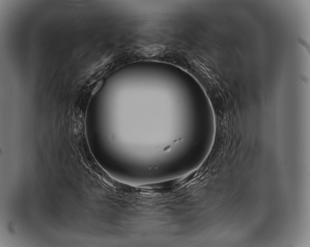 X0000097601349200802291233