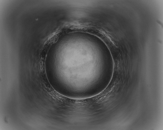 X0000097601350200802291233