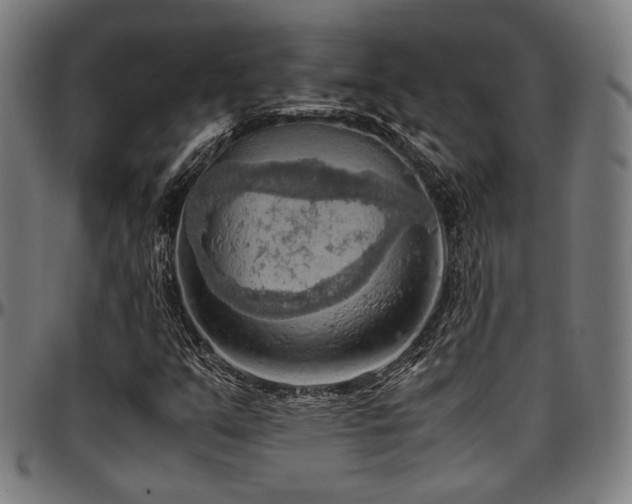 X0000097601351200802291233