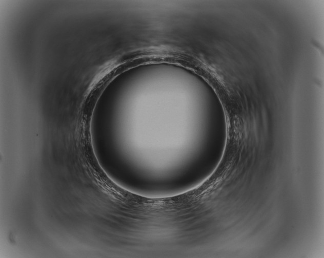 X0000097601352200802291233