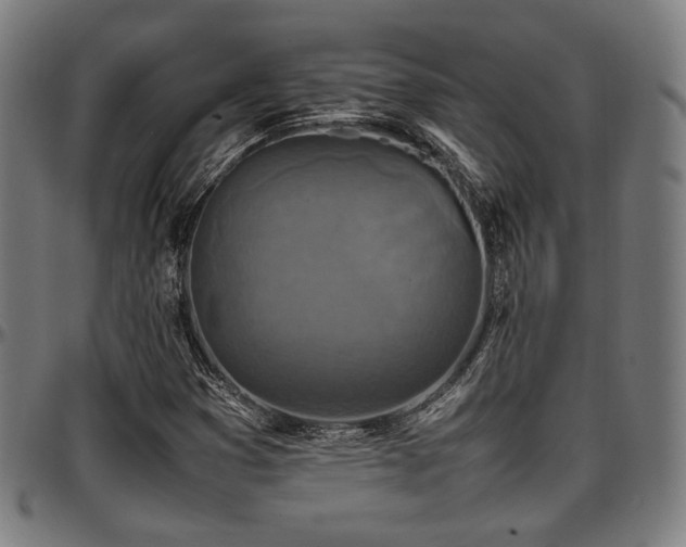X0000097601353200802291233