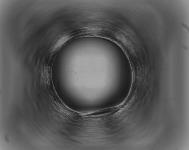 X0000097601354200802291233